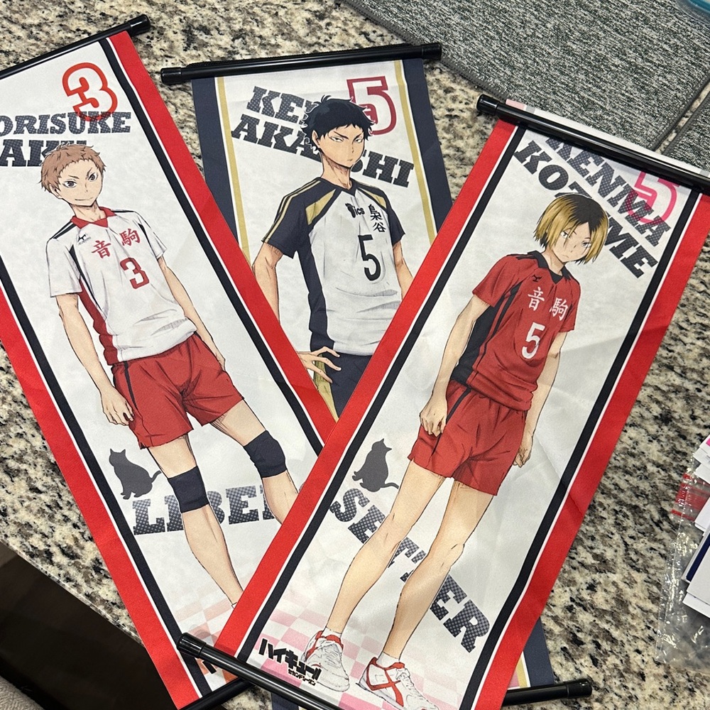 Haikyuu  mini Wall Scrolls Set